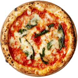 �}���Q���[�^�̎ʐ^